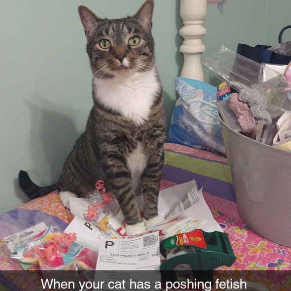 Meet your Posher, Jill - Picture 1 of 11